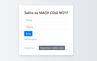 Как можно войти в личный кабинет портала do s217 ru – пошаговая инструкция