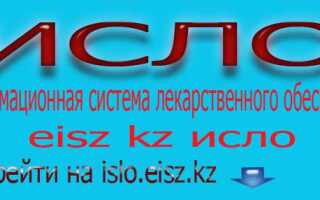 Как можно войти в личный кабинет портала islo eisz kz – пошаговая инструкция