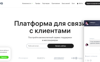 Как можно войти в личный кабинет портала Живо Чат – инструкция