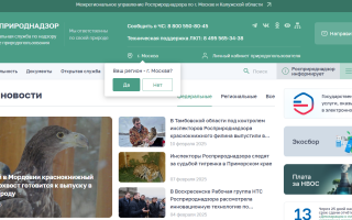 Как войти в личный кабинет сервиса РПН (lk rpn gov ru) – пошаговая инструкция