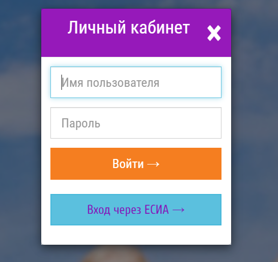 Как можно войти в личный кабинет на сайте opeka mosreg ru – инструкция