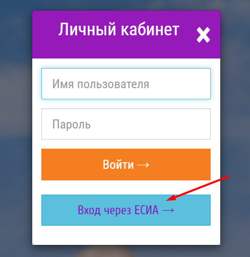 Как можно войти в личный кабинет на сайте opeka mosreg ru – инструкция